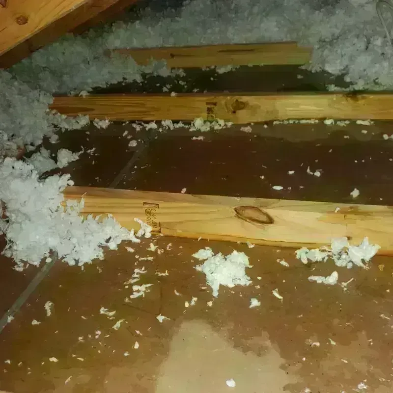 Attic Water Damage in Cambria, IL