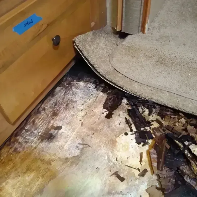 Wood Floor Water Damage in Cambria, IL